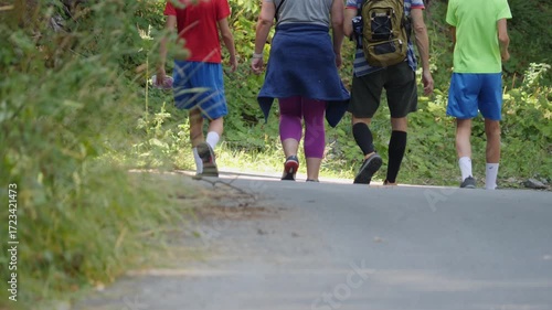 Family Walk along an Alley in the Park