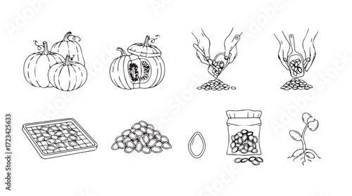 Vintage hand drawn autumn harvest icons representing seasonal food and decorations silhouette