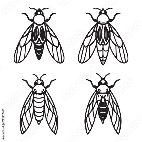 A Loud and Buzzing Cicada Insect, a Summer bug Known for its Periodical Emergence and Unique Life Cycle, a Brood Creature Singing in the Heat