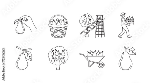 Harvest and gathering agricultural icons set with fruits vegetables and farming activities silhouette