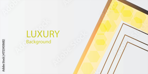 Abstract white and gray line decoration. white and gray background with gorgeous golden line decoration.