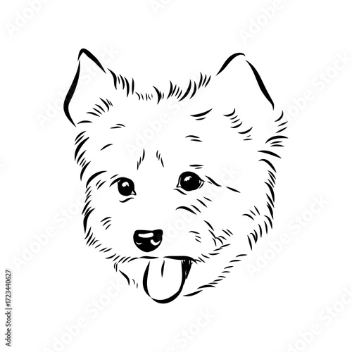 Beaver Yorkshire terrier, vector sketch