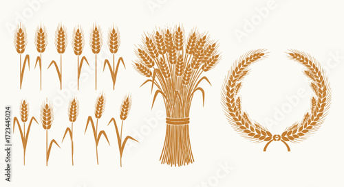 Wheat or barley ears. Harvest wheat grain, growth rice stalk and bread grains isolated vector set. Harvest wheat grain, growth rice stalk and whole bread grains. Agriculture. EPS version.