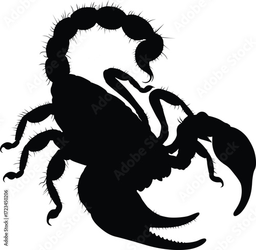 Scorpion Silhouette Vector | Dangerous Insect with Claws and Curved Tail