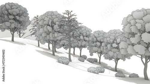 A line of deciduous trees and bushes casting long shadows on a gentle slope in a monochrome artistic silhouette