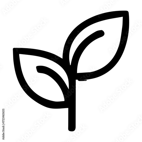 A leafy plant with a stem. The leaves are green and the stem is thin. Concept of growth and vitality