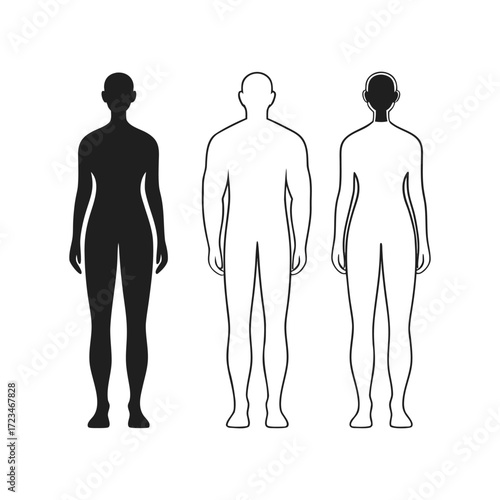 Human body silhouettes male female front and back views vector