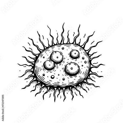 Detailed ink drawing showcasing a cellular structure with intricate details on white background