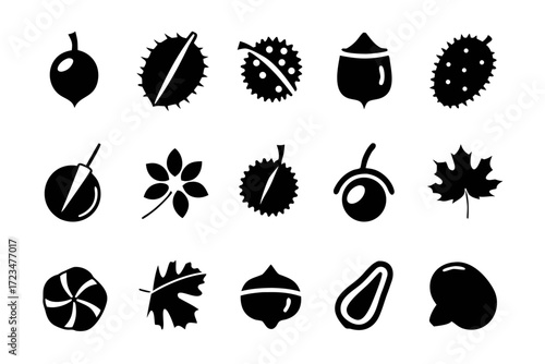 Collection of black and white icons depicting various nuts and seeds, including acorns, chestnuts, and other edible seeds
