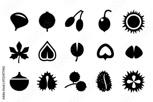 Collection of black and white icons depicting various nuts and seeds, including acorns, chestnuts, and other edible seeds