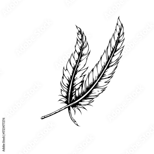 Elegant feather illustration capturing lightness freedom and grace with delicate lines conveying