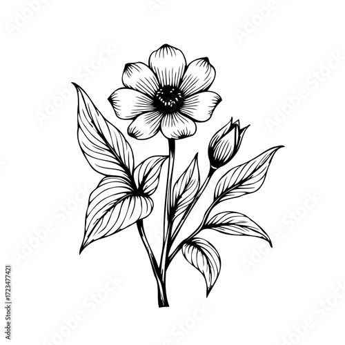 Elegant floral botanical illustration of blossoming flower with leaves and bud in monochromatic