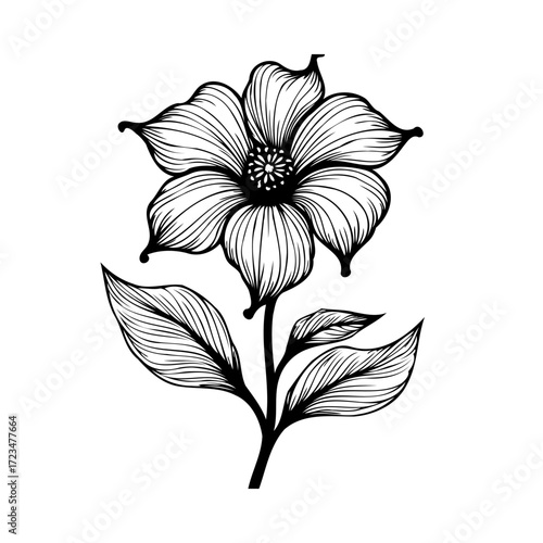 Elegant floral illustration featuring a blossoming flower with gracefully curved petals and