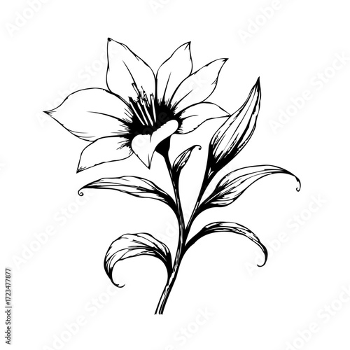 Elegant floral illustration showcasing delicate petals, artistic botanical outline, a detailed