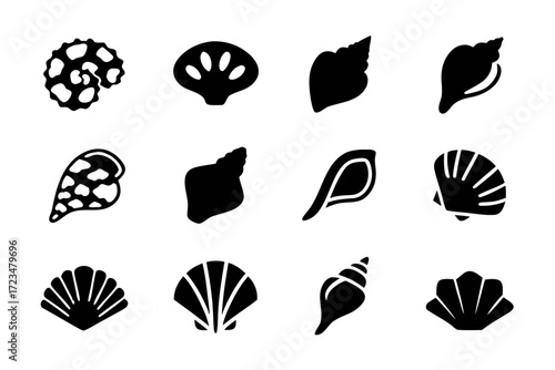 Collection of black seashell silhouette illustrations set of marine shell icons for summer design and decoration