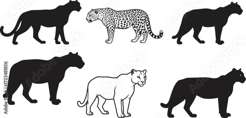 Photography Panther leopard silhouettes, big cat comparison, wild feline vector, black white