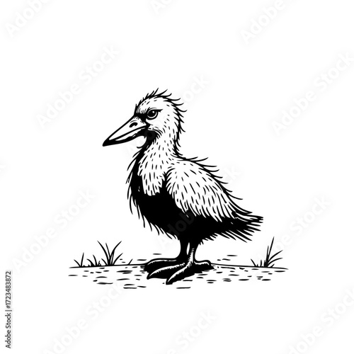 Monochrome avian illustration perched among sparse vegetation with expressive textured feathers