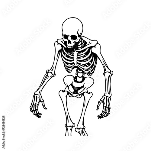 Monochrome skeletal figure a symbolic representation of mortality fragility and halloween themes