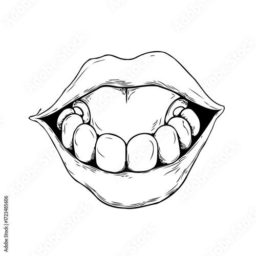 Open mouth showing teeth black and white illustration detail of human anatomy graphic drawing