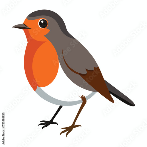 Wallpaper Mural American Robin Vector Illustration on White Background.

 Torontodigital.ca