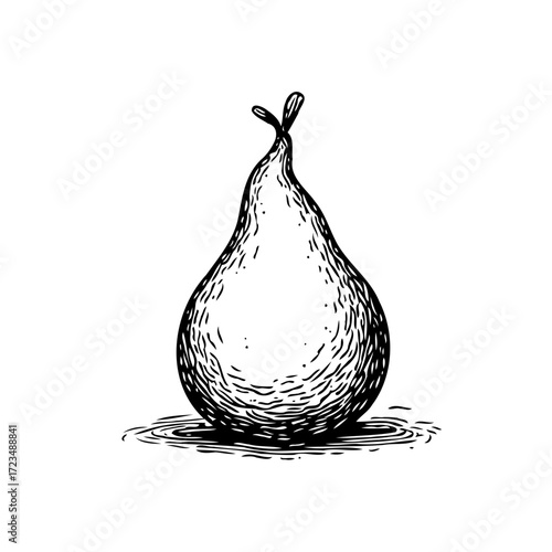 Vintage hand drawn illustration of a pear perfect for botanical studies and culinary arts design use