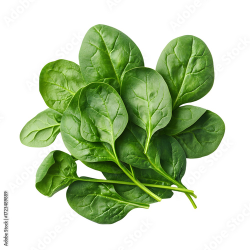 Fresh Spinach Leaves Isolated on Transparent Background for Culinary Designs