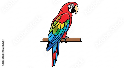 Scarlet macaw drawing vector illustration perched on branch tropical bird wildlife colorful parrot art design