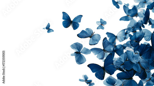 Flock of blue butterflies isolated on transparent background