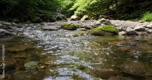 Close-up perspective highlighting the intricate patterns and reflections on the water's surface as sunlight filters through surrounding foliage. no data