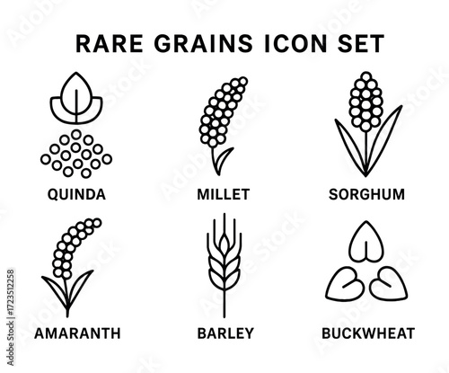 Rare grains icon set: quinoa, millet, sorghum, amaranth, barley, buckwheat symbols