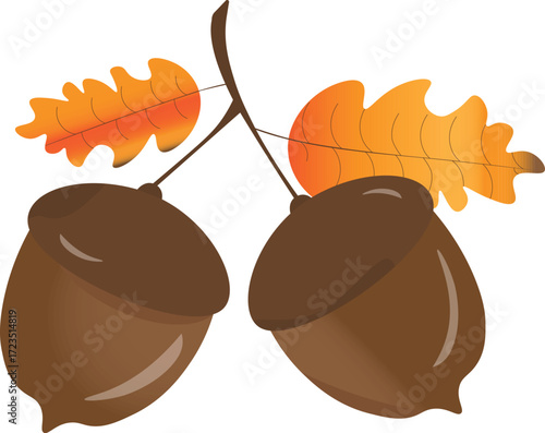Autumn element acorns with leaves