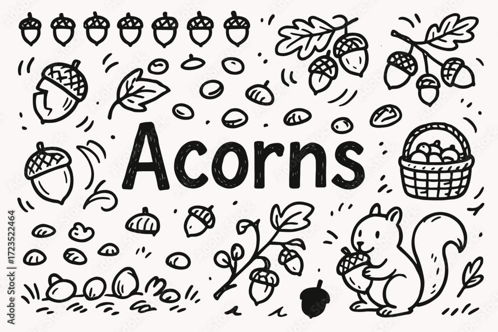 Fototapeta premium Acorn and squirrel outline icon set. autumn harvest, wildlife outline collection