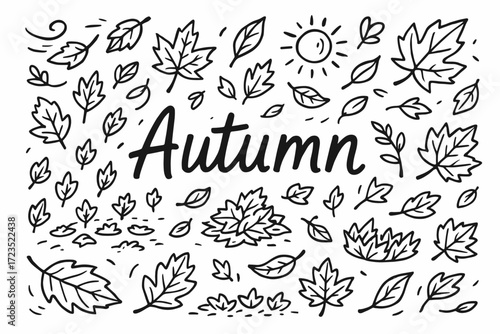 Autumn outline icon set. seasonal leaves, nature symbols collection for fall