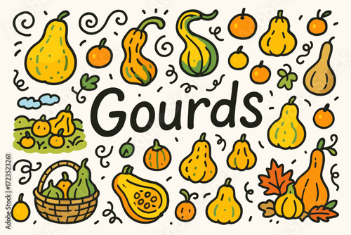Harvest, fall flat icon set. pumpkins, gourds, autumn elements collection