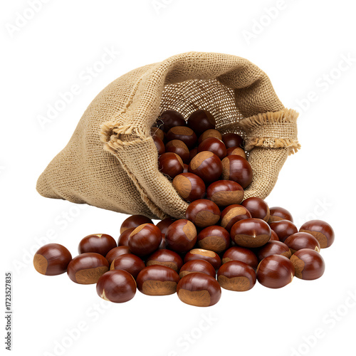 A small burlap sack overflowing with shiny brown chestnuts on transparent background