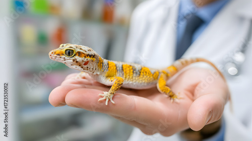 The gecko was cured by a veterinarian.