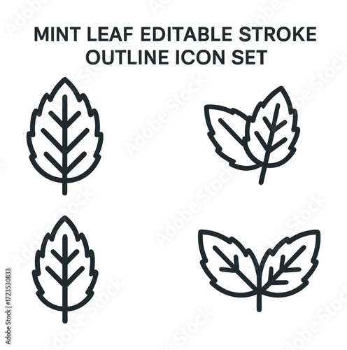 Mint leaf outline icon set with editable stroke - four variations
