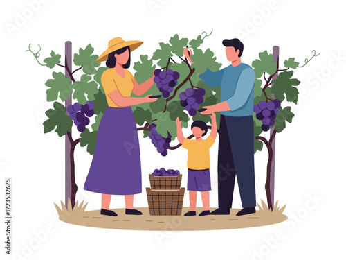 A family harvesting grapes from a vineyard, with baskets full of ripe fruit.
