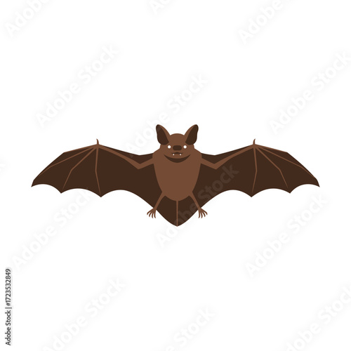 A brown bat with outstretched wings, viewed from the front.