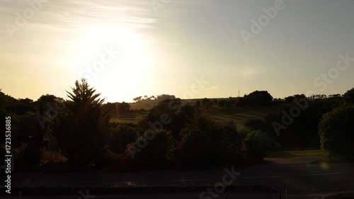 Beautiful sunrise casting golden light over a vast natural garden. Peaceful, scenic, and perfect for cinematic use in 4K.