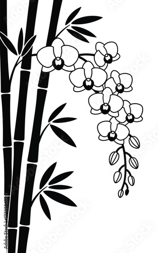Elegant silhouette of bamboo stems and leaves with blooming orchid flowers, oriental nature theme on transparent background