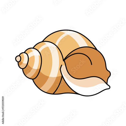 Illustration of a tan and white striped conch shell with a large opening, isolated on a white background.
