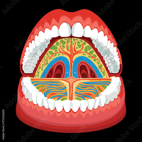 An intricate anatomical view of the oral cavity from the palatal aspect, illustrating the layered tissues, nerves, and vessels against a minimalist black background	