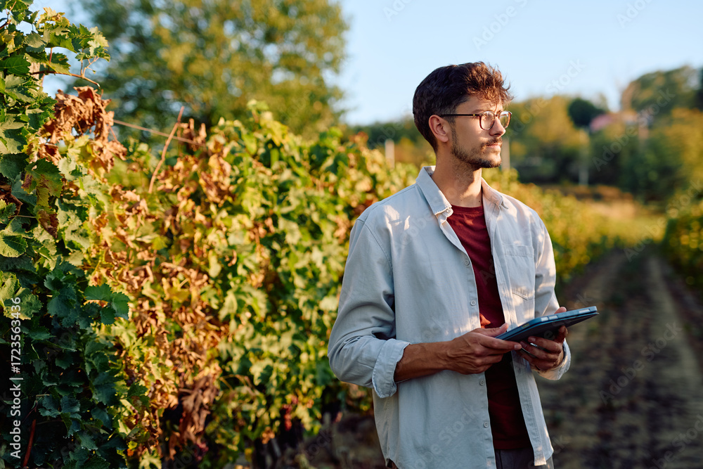 Fototapeta premium Young man holding a tablet, inspecting grapevines in a sunny vineyard. Using technology for modern agriculture management