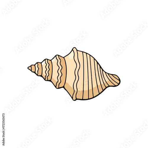 Illustration of a beige seashell with dark brown lines and a spiral shape on a white background.