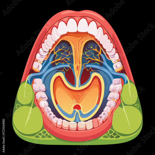 Intricate anatomical view of the open mouth and oral cavity, illustrating the relationships between the mandible, maxilla, muscles, and sinuses in a highly detailed diagram	