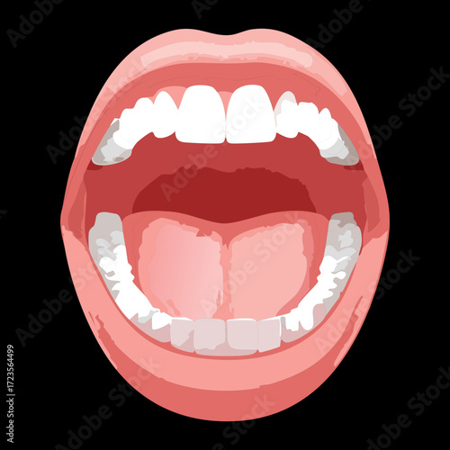 Close-up illustration of a wide-open mouth with bright white teeth, focusing on the dental arch and pink gums against a dark background	