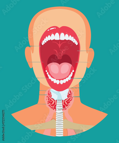 Anatomical view of the open mouth and throat, showing the thyroid gland, tonsils, and adjacent glandular structures	