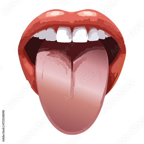Detailed anatomical diagram of the human tongue, showing the root, tip, and sensory papillae for tasting and speaking	