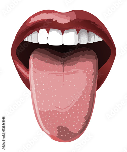 Close-up anatomical illustration of the human tongue, showing taste buds, papillae, and the dorsal surface structure	